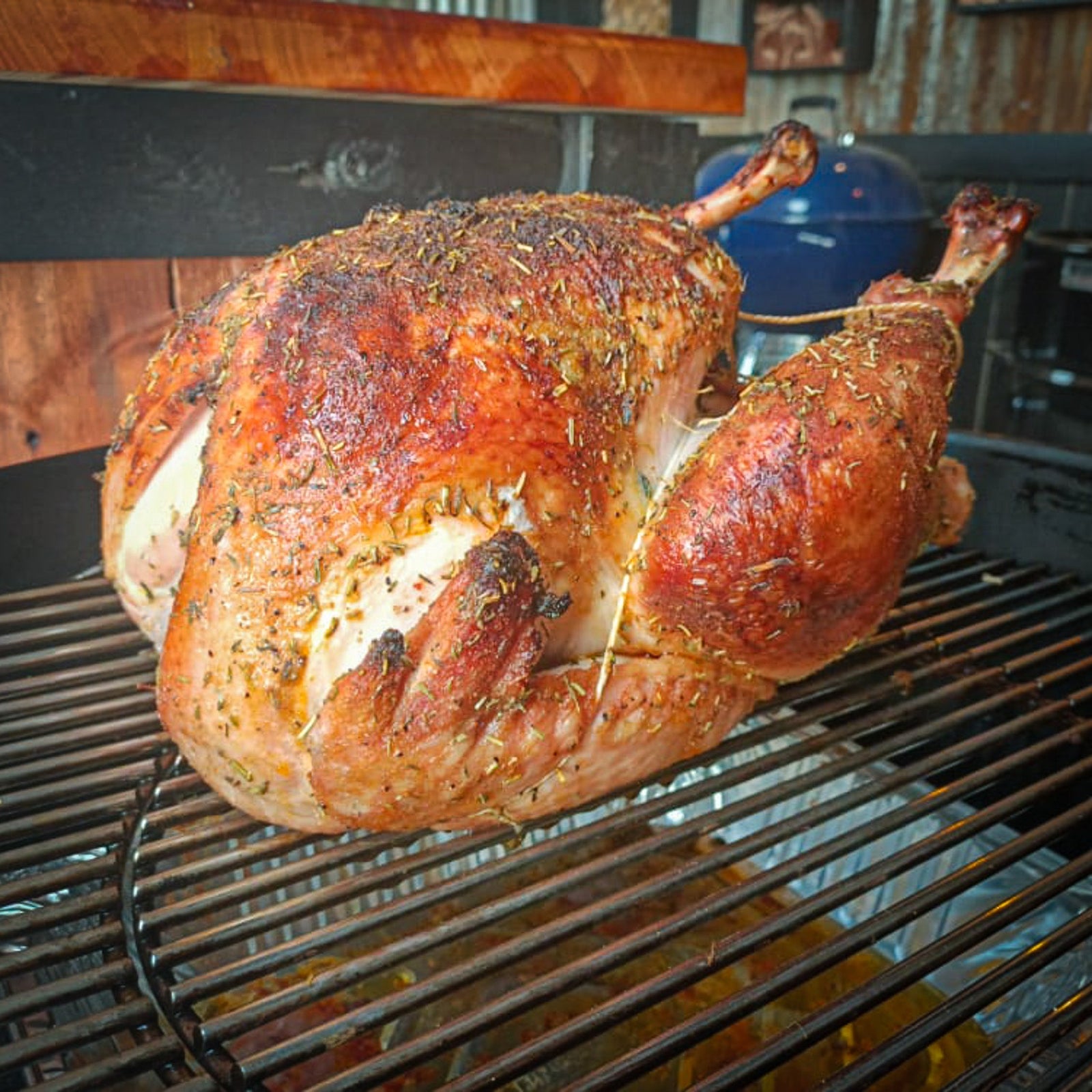 Roast Turkey